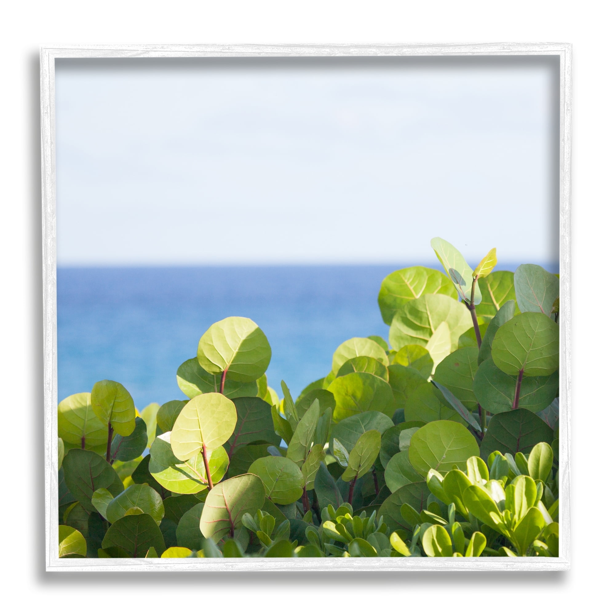 Stupell Industries Lush Greenery Plants Distant Beach Ocean Water Photograph White Framed Art Print Wall Art, Design by Michael Quackenbush