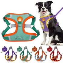 Spencer No Pull Dog Harness and Leash Adjustable Reflective No-Choke Pet Vest Harness Nylon Easy Control for Small Medium Large Dogs （M, Blue）