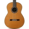 C10 CD IN Nylon String Classical Acoustic Guitar Cedar Top, Gloss Poly Finish