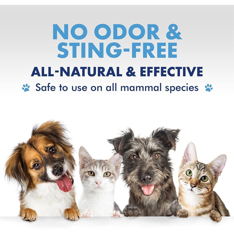 PetSilver Dog Cat Ear Cleaner Solution, All Natural, Made with