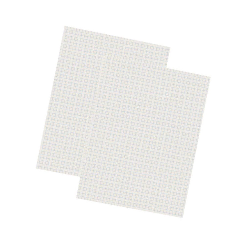 Pacon Grid Ruled Drawing Paper, White, 1/4" Quadrille Ruled, 9" x 12", 500 Sheets Per Pack, 2 Packs