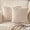 Begie, variant on Pack of 2 Burgundy Super Soft Plush Fluffy Decorative Throw Pillow Covers 18x18 inch 45 x 45 cm Faux Fur Wool Velvet Cushion Covers Pillow Cases Couch Sofa Bed Living Room
