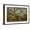 Brown Frame, variant on Art.com USA, South Carolina, Charleston, Angel Oak Photographic Print by Hollice Looney, 24" x 16"