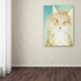 thumbnail image 2 of Trademark Fine Art "Willard" Canvas Art by Pat Saunders-White, 2 of 2