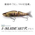 thumbnail image 2 of i-Slide 187 R Floating, 2 of 3