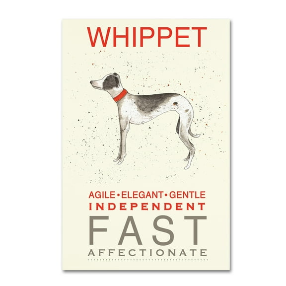 Trademark Fine Art 'Whippet Print' Canvas Art by Michelle Campbell