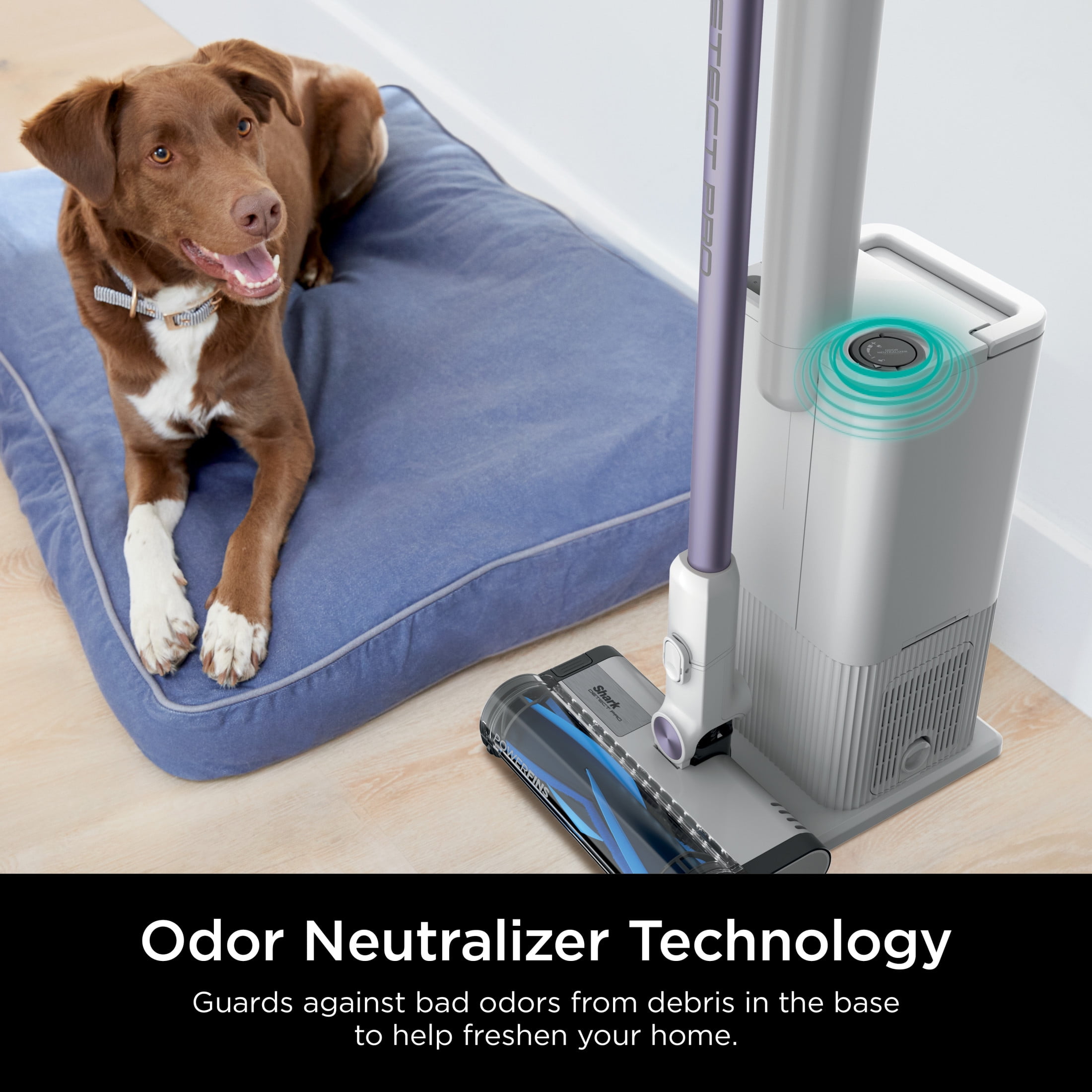 Shark Detect Pro Clean & Empty Cordless Stick Vacuum, Carpet and Hardfloors, Auto Empty Base, DirtDetect Technology, 40-Min Run Time, IW3120 White