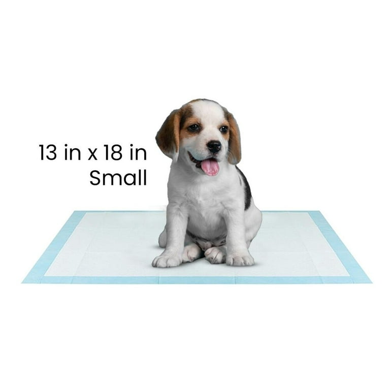 Amazon Pee Pads For Small Dogs For Kids Amazon Basics Dog