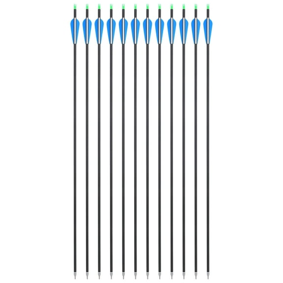 CHN Archery - 30" Fletched Archery Carbon Arrows Spine 500 (12 Pack)【Ship from USA】