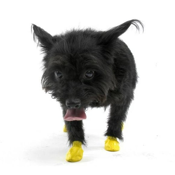 PawZ - Bottes chiens Très très petit