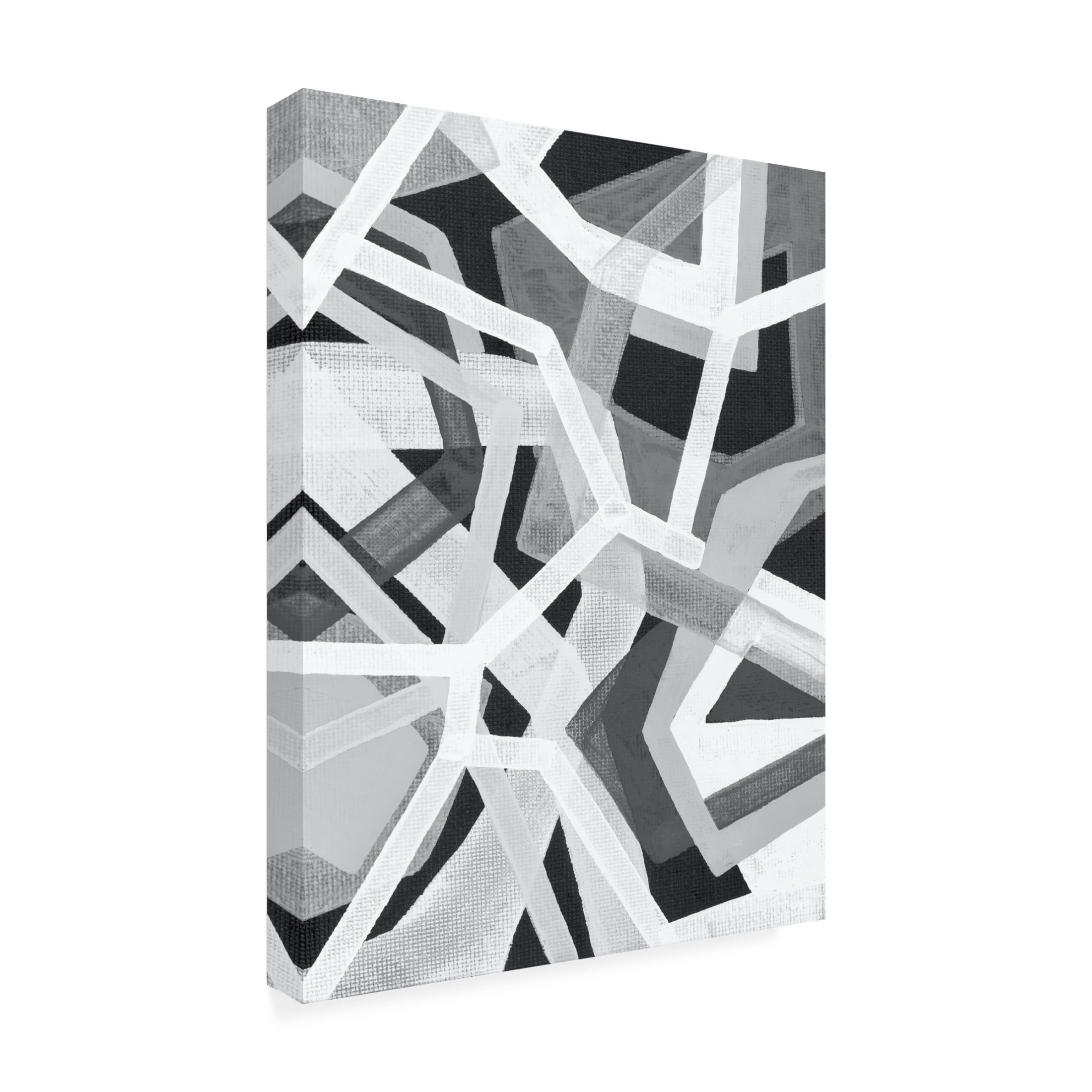 Trademark Fine Art Nikki Galapon Magnetic Greys I Canvas Wall Art