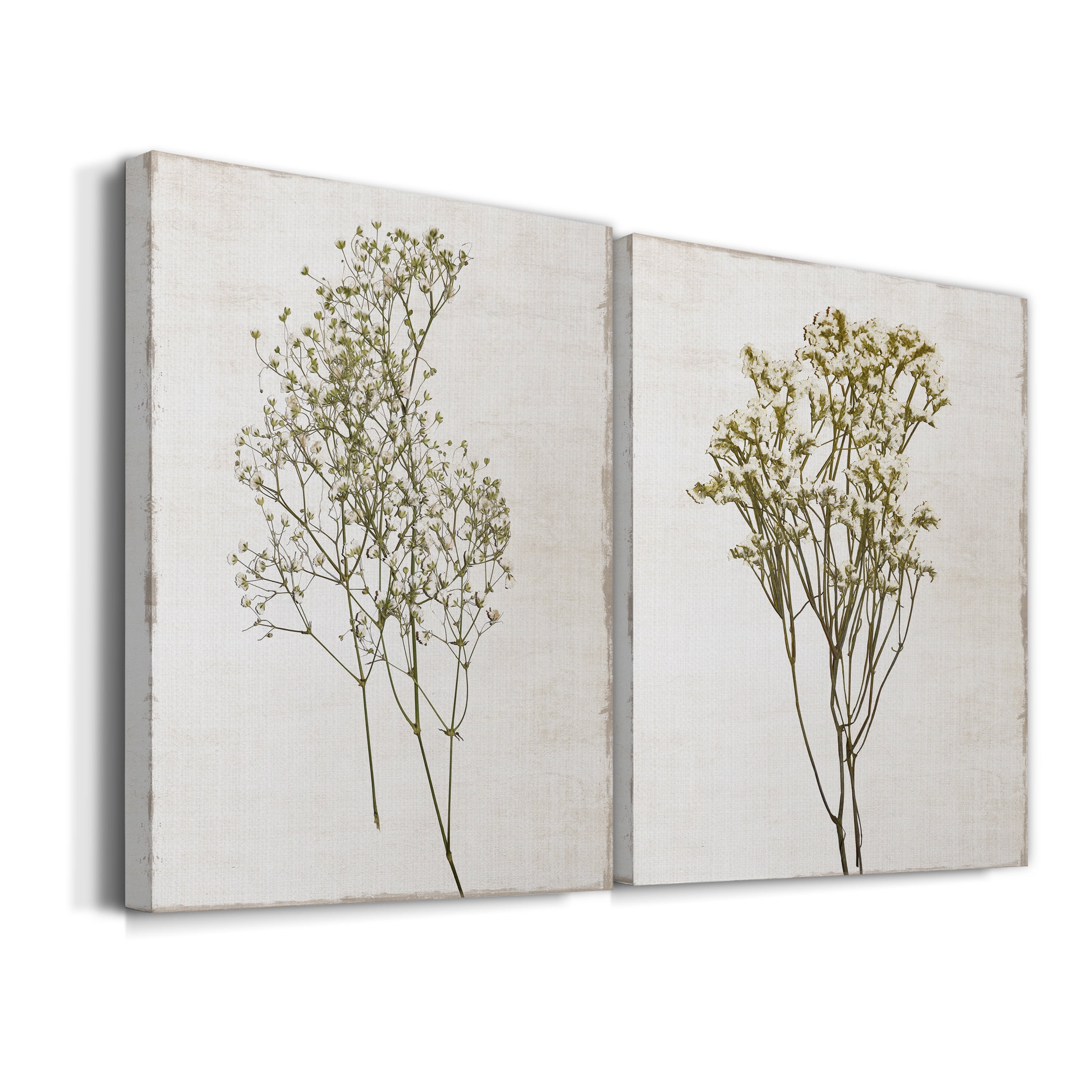 Farmhouse Pressed Flower I Premium Gallery Wrapped Canvas - Ready to Hang - Set of 2 - 12 x 18 Each