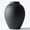Black Ovoid, variant on Black Large Decorative Vase for Floral Arrangements and Home Centerpieces