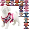 thumbnail image 2 of Pechera Arnes Ajustable Con Correa Para Perro, 2 of 8