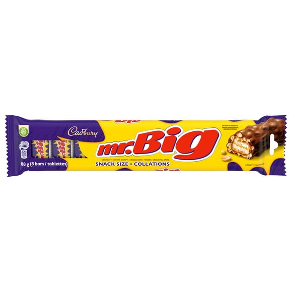 CADBURY MR. BIG, Chocolatey Candy Bar, Snack Size 8ct, 88 g