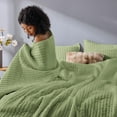 thumbnail image 2 of Wonderful Velvet 3 Piece Quilt Set 21021 Sage Green - Queen, 2 of 9