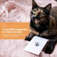 thumbnail image 4 of Kit de almohadillas de tinta Pearhead Paw Print Clean Touch para perros y gatos, 4 of 5