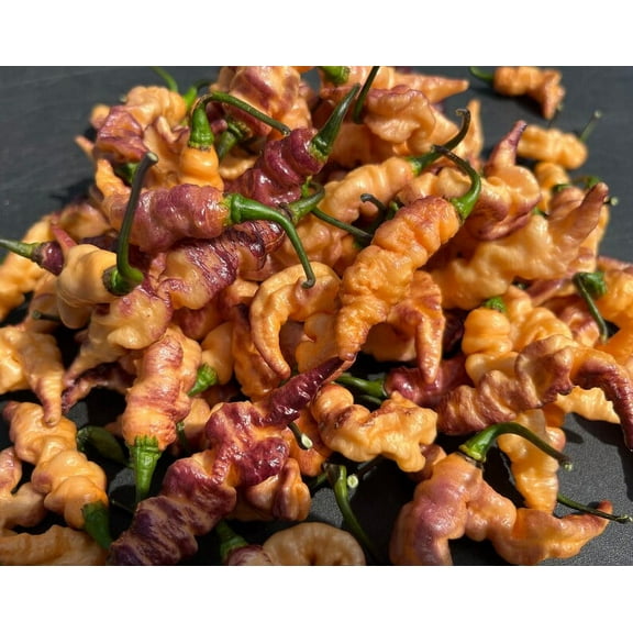 Thor's Thunderbolt Purple Pepper Premium Seed Packet