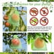 thumbnail image 3 of Scienceny 50piece Multi Fruit And Bird Control Mesh And Drawstring Bag Bag 50pcs Cloth Lightweight With More Fruit Bag Proof Jardín y Patio dorado 10*12 CM, 3 of 6