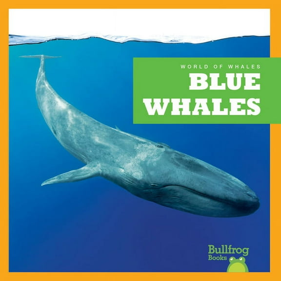 World of Whales Blue Whales, (Hardcover)