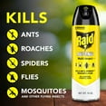 thumbnail image 3 of Raid Defense System Indoor and Outdoor Ants, Roaches, Spiders and Flies Insect Killer Bug Spray, 15 oz, 3 of 16