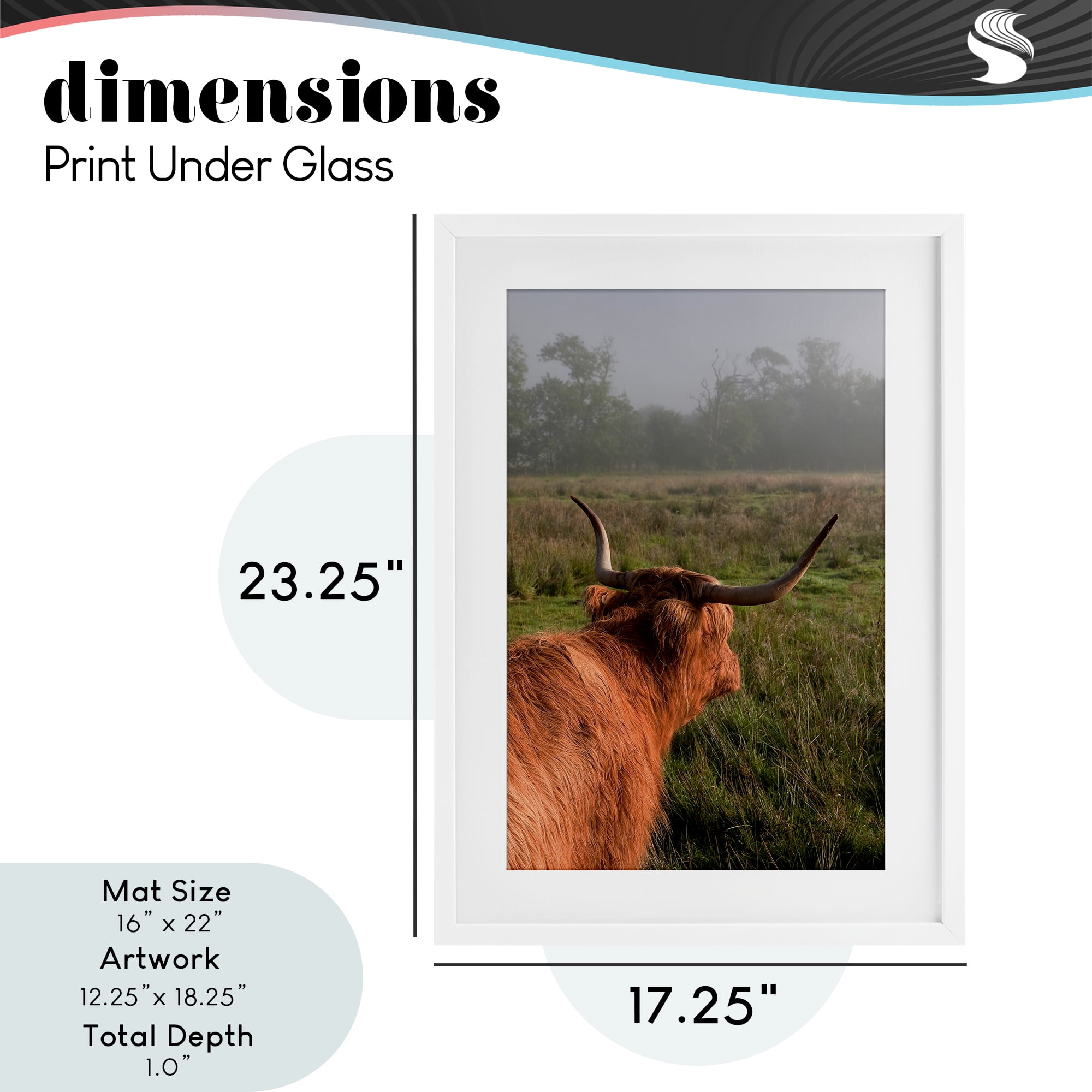Highland Cow Gazing Out White Framed Print Under Glass, design by Jenny Rainbow Fine Art
