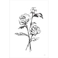 thumbnail image 2 of Great Art Now Line Ranunculus I by Chris Paschke, Framed Wall Art, 15.75W x 22.5H, 2 of 2