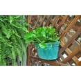 thumbnail image 2 of Mr.Garden 12 Inch Plastic Wall Mounted Planter, 1pack (Green), 2 of 4