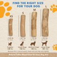 thumbnail image 3 of Juego de 3 juguetes masticables MINOWILD Coffee Wood para perros pequeños, 3 of 9
