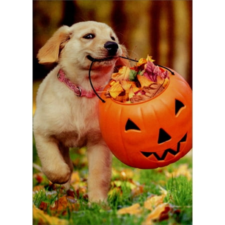 Avanti Press Puppy With Pumpkin Bucket Cute Dog Halloween Card