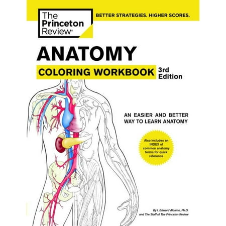 Anatomy Coloring Workbook 3rd Edition An Easier And
