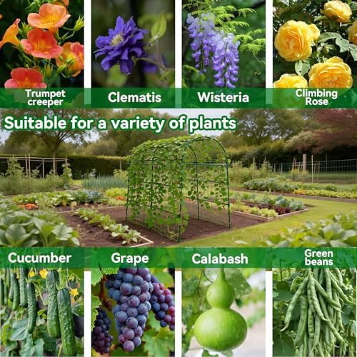 Garden Arch Trellis for Climbing Plants Outdoor - 83" H*71" W*43" L Large Rustproof Garden Trellis, Heavy Duty Grape Trellis, Tunnel Trellis for Melons, Pumpkins, Cucumbers, Peas(Green)