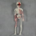 thumbnail image 4 of Esqueleto De Halloween Articulado De 40 Cm Con Huesos De Plástico Móviles, Sombrero De Copa/Capa O Efectos Desgastados Para Bares Y Fiestas (3 Estilos), 4 of 6