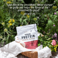 thumbnail image 2 of Live Conscious Pea Protein Powder, Cosmic Cacao Chocolate, Pea Brown Rice Pumpkin & Sacha Inchi Blend, 20 Servings, 2 of 7