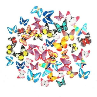Butterfly Sprinkles – Buy Multi Colored Butterfly Sprinkles Online –  Sprinklemania