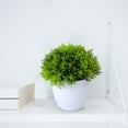 thumbnail image 6 of 2PCS Artificial Potted Small Greenery,Realistic Mini with Flowers for Indoor Home Decor,Desktop Table Centerpiece for Bathroom,Farmhouse Displays,Mother's Day,Christmas Gifts, 6 of 6