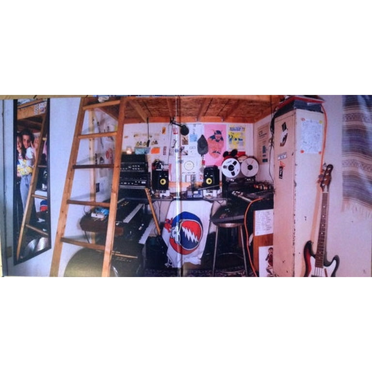 Mac Demarco - Salad Days - Music & Performance - Vinyl - Walmart.com