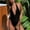 Black, variant on QUNYINEY Standard Straps One Piece Swimsuit Women Solid V Neck Bathing Suit Tummy Control High Waisted Swimwear