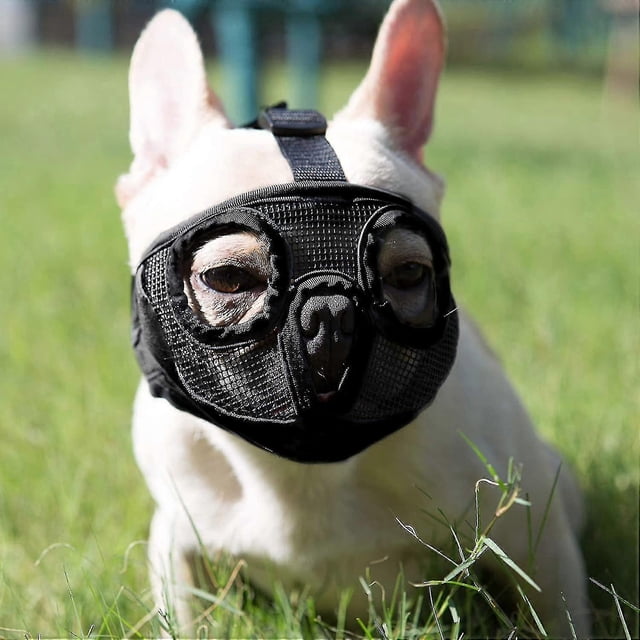 Adjustable Breathable Dog Muzzle For English Bulldog, French Bulldog, Pekingese, Shih-tzu, Pug