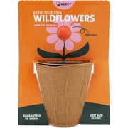 BUZZY Seeds Wildflower Seed Ball Cup 6-Pack – Over 50 Seeds Per Ball, Colorful Decorative Seed Balls in Biodegradable Cups with Growing Medium – Indoor Gardening Gift Set