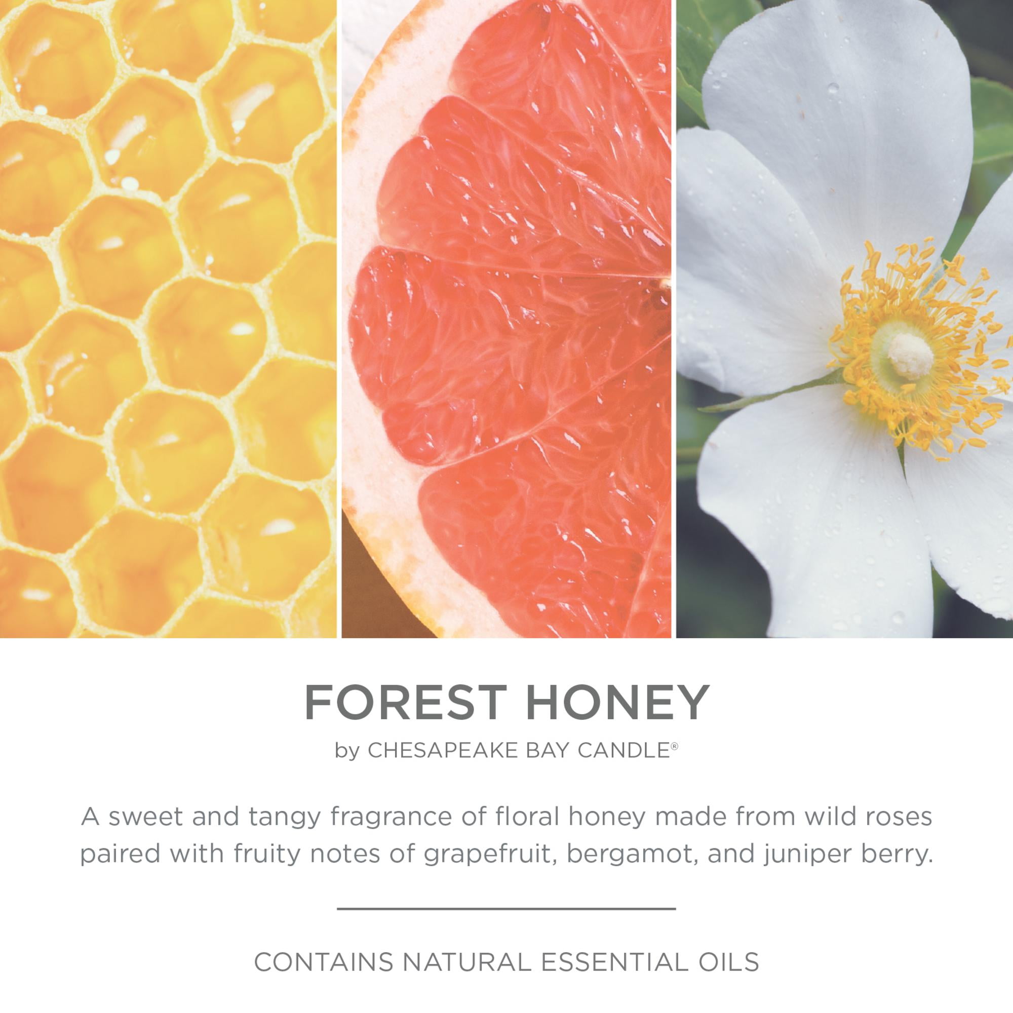Chesapeake Bay Candle Minimalist Collection Forest Honey - 14.9oz Soft-Touch 3-Wick Ceramic Candle