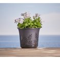 thumbnail image 2 of Bloem Freesia Planter w/ Saucer 16 in. Charcoal Gray, 2 of 8