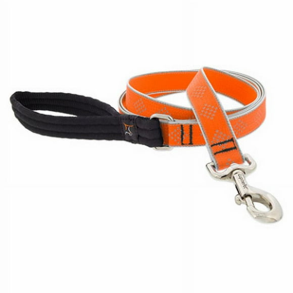 1x6' OD Dog Leash -48359
