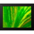 thumbnail image 2 of Grayscale 18x15 Black Modern Framed Museum Art Print Titled - Green Leaf IV, 2 of 5