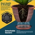 thumbnail image 4 of Whiskey Barrel Planters Lifemaster 25 Pack 25cm Plastic, 4 of 7