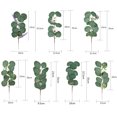thumbnail image 5 of Ludlz 10 Pcs Artificial Seeded Eucalyptus Leaves Stems Bulk Artificial Silver Dollar Eucalyptus Leaves Plant in Grey Green Artificial Greenery Holiday Greens Wedding Greenery, 5 of 8