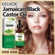 thumbnail image 4 of Aceite Capilar de Castaña con Vinagre | Promueve Un Cabello Sano y Fuerte | Nutre El Cuero Cabelludo | 60 Ml | para Hombres y Mujeres | Sin Aditivos Nocivos, 4 of 7