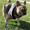 thumbnail image 6 of French Bulldog hoodie | Frenchie Clothing | Mustard Ultimate Camo, 6 of 7