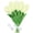 B, variant on Twinkling Romantic Tulip Ambient Light LED Night Lamp for Bedroom Bedside Mother's Day Gift