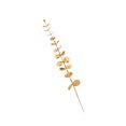 thumbnail image 1 of Injueey 20 hojas artificiales de amplia aplicación, plantas falsas de bajo mantenimiento para decoración de bodas, flores de plantas Plantas Artificiales Oro Eucalipto, 1 of 6